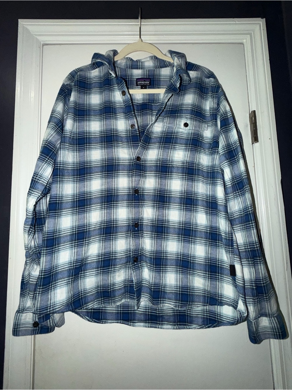 Patagonia Blue & White Plaid Button-Down Shirt